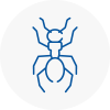 Ant Removals In Waltham Abbey