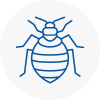 Bed Bug Extermination In Waltham Abbey