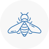 Bee Nest Removal Waltham Abbey