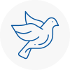 Bird Prevention Waltham Abbey