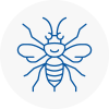Waltham Abbey Hornet Nest Removals