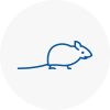 Mice Exterminators In Waltham Abbey