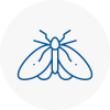 Moth Control Specialists In Waltham Abbey