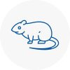 Rat Control Waltham Abbey