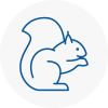 Waltham Abbey Rodent Removals