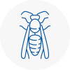 Waltham Abbey Wasp Nest Removal